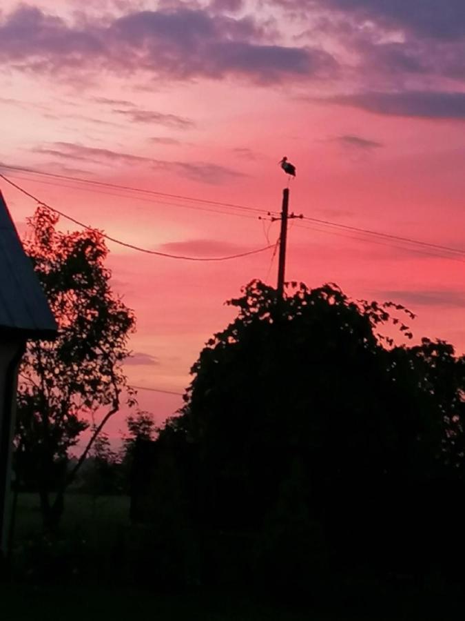 Dom I Pokoje Goscinne Zaruby Sejny Exterior foto